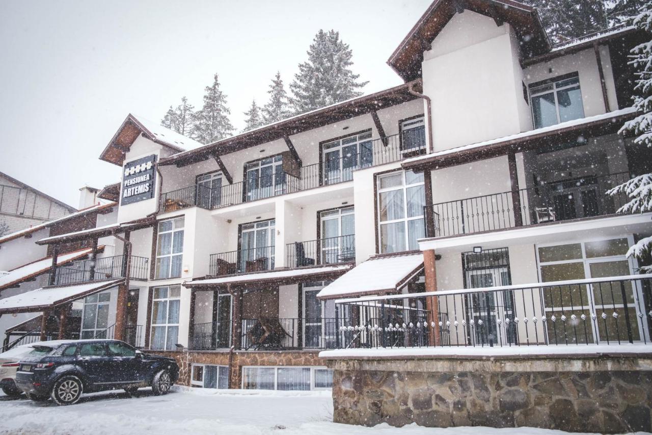 Artemis Villa Poiana Brasov Extérieur photo