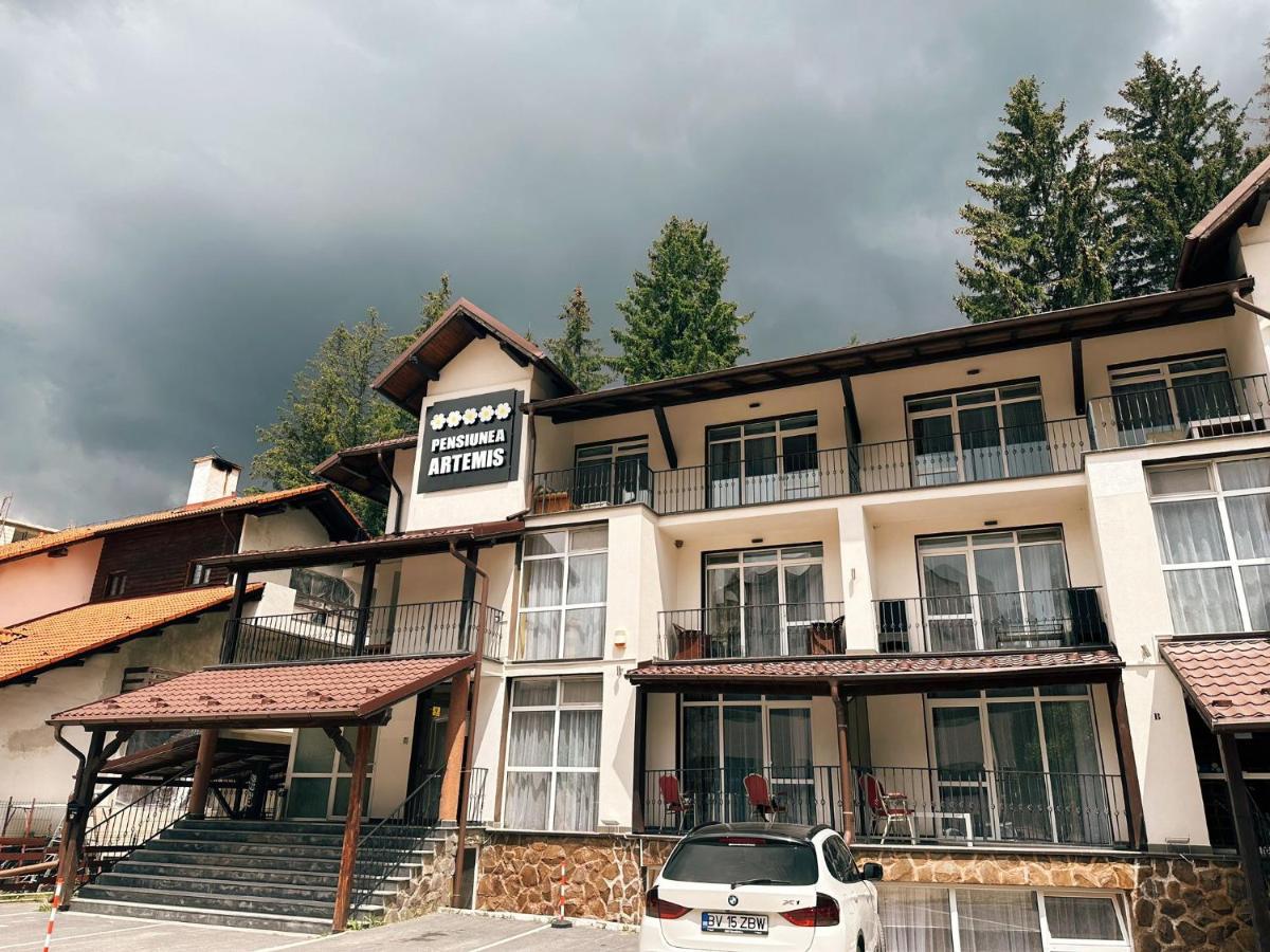 Artemis Villa Poiana Brasov Extérieur photo