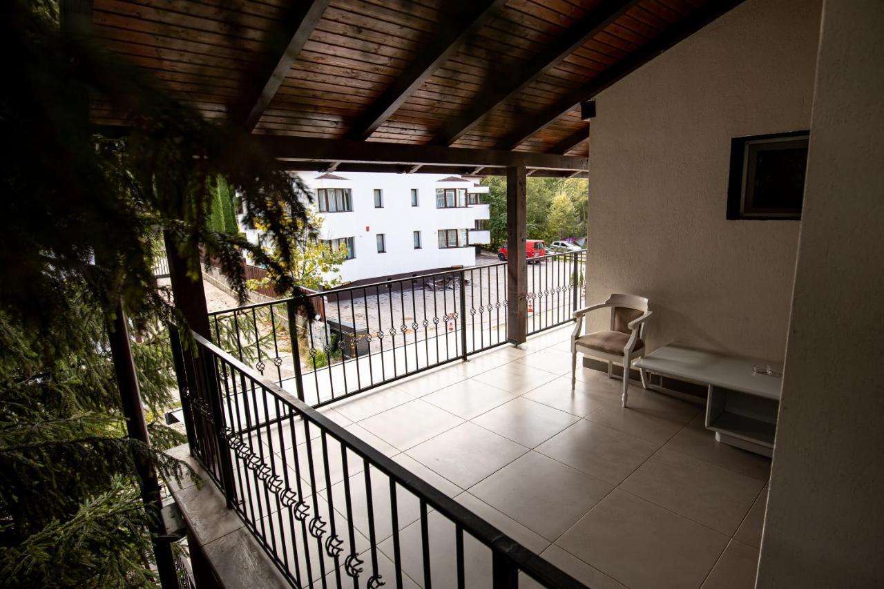 Artemis Villa Poiana Brasov Extérieur photo