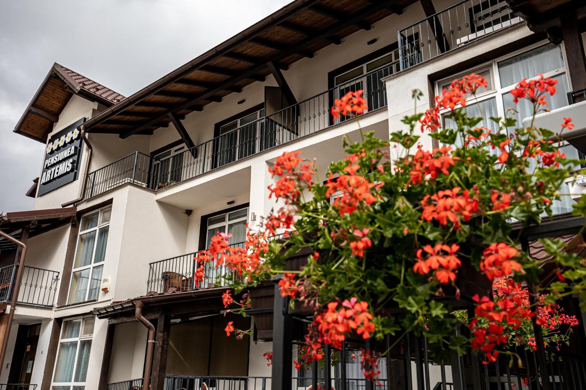 Artemis Villa Poiana Brasov Extérieur photo
