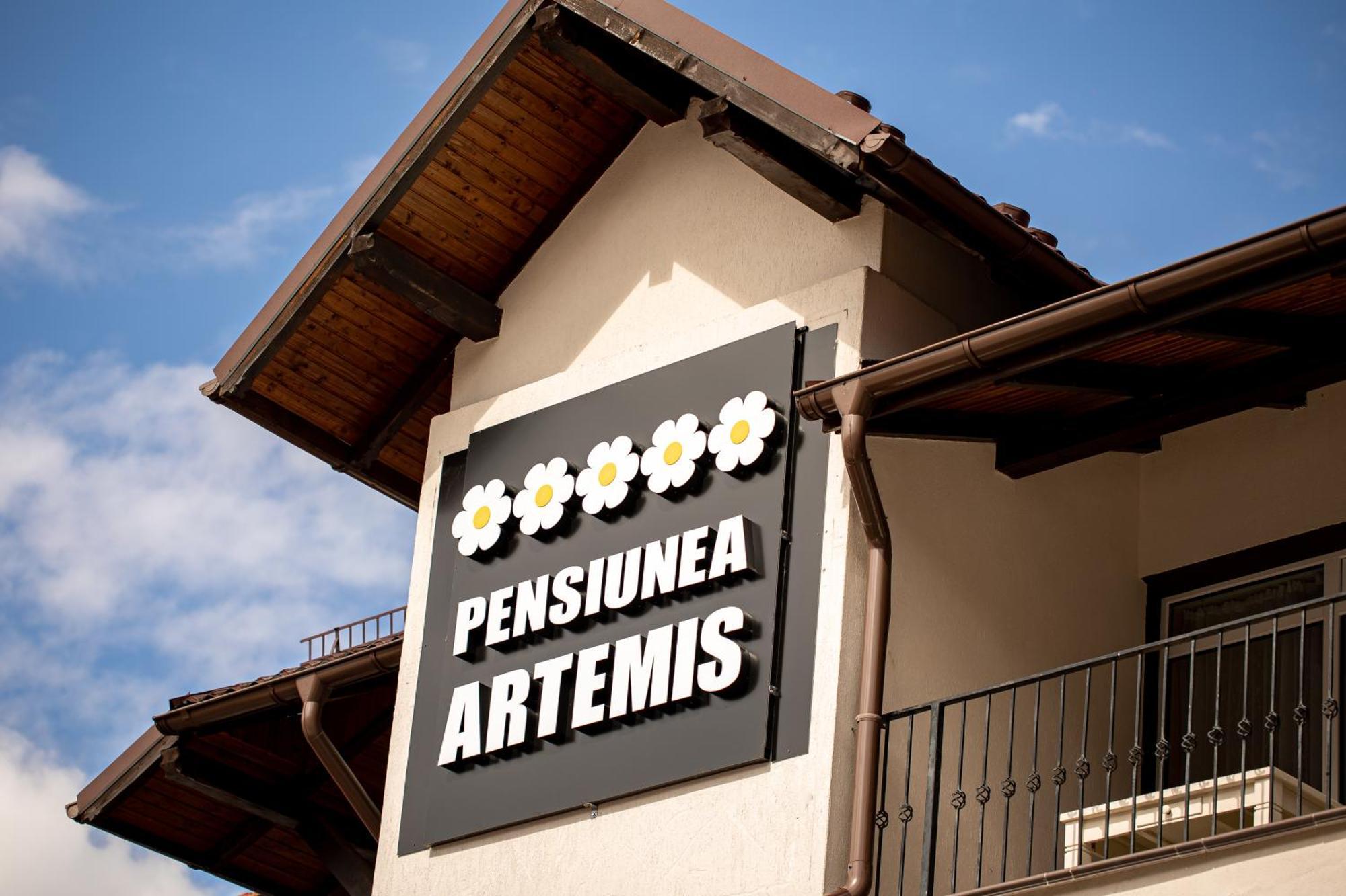 Artemis Villa Poiana Brasov Extérieur photo