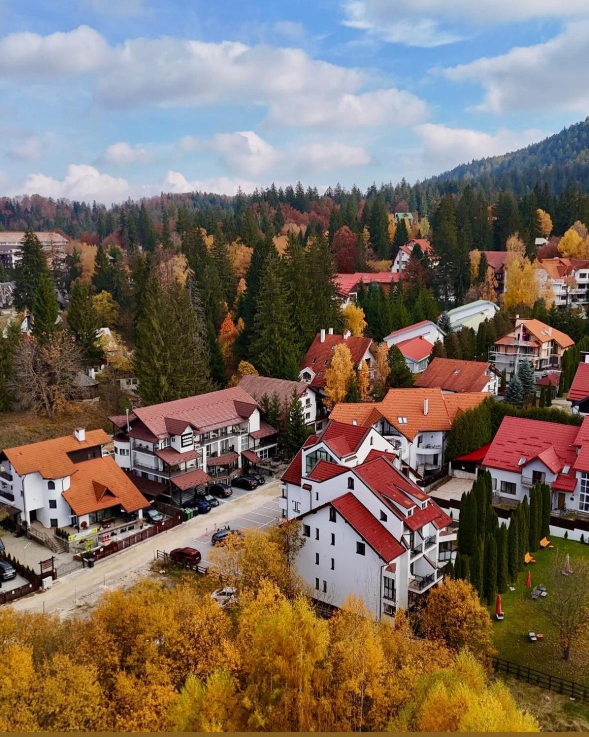 Artemis Villa Poiana Brasov Extérieur photo